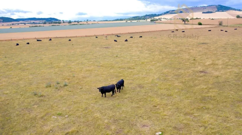 Prodej pozemku pro bydlení, Libčeves - Charvatce, 2000 m2