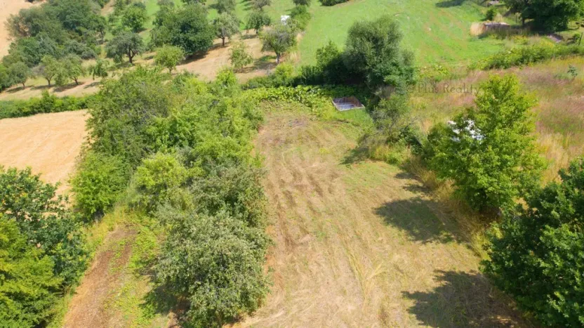 Prodej zahrady, Smolnice, 2370 m2