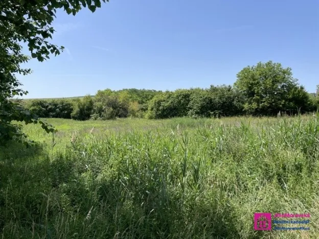 Prodej pozemku pro bydlení, Diváky, 7284 m2