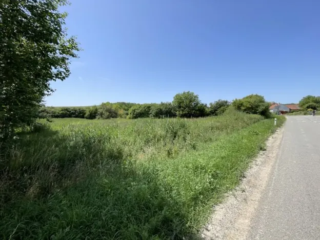 Prodej pozemku pro bydlení, Diváky, 7284 m2