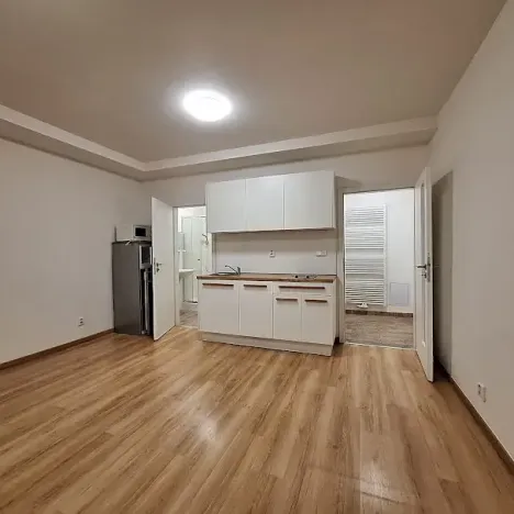 Pronájem bytu 1+kk, Praha - Bubeneč, U zeměpisného ústavu, 26 m2