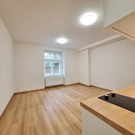 Pronájem bytu 1+kk, Praha - Bubeneč, U zeměpisného ústavu, 26 m2