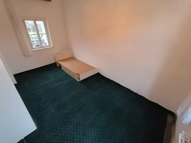 Pronájem vícegeneračního domu, Nepomuk, 280 m2