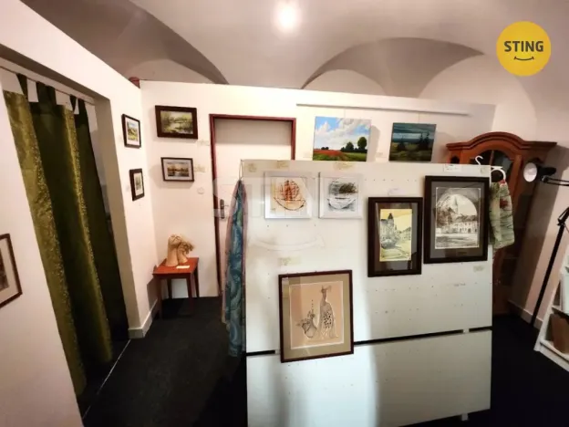 Pronájem obchodního prostoru, Přerov, Wilsonova, 70 m2