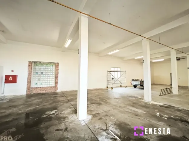 Pronájem skladu, Tursko, 619 m2