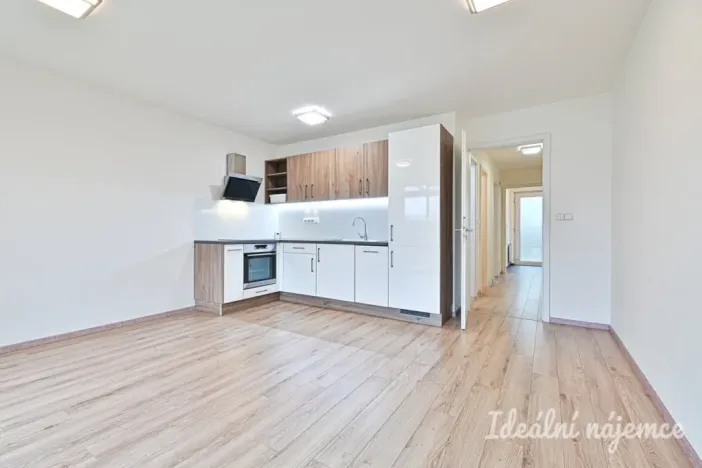 Pronájem bytu 2+kk, Nemojany, 50 m2