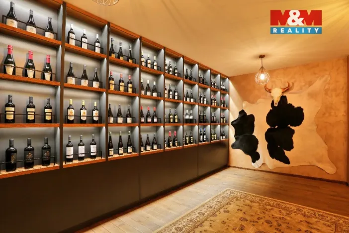 Pronájem restaurace, Olomouc, Riegrova, 500 m2