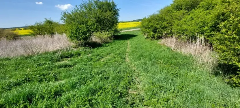 Prodej pozemku, Kyšice, Pražská, 308 m2