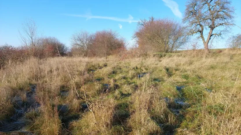 Prodej pozemku pro bydlení, Dřetovice, 1424 m2