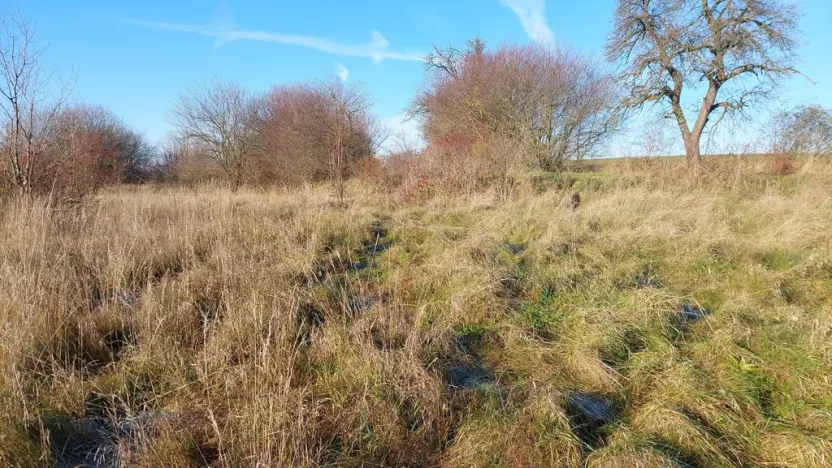 Prodej pozemku pro bydlení, Dřetovice, 1424 m2