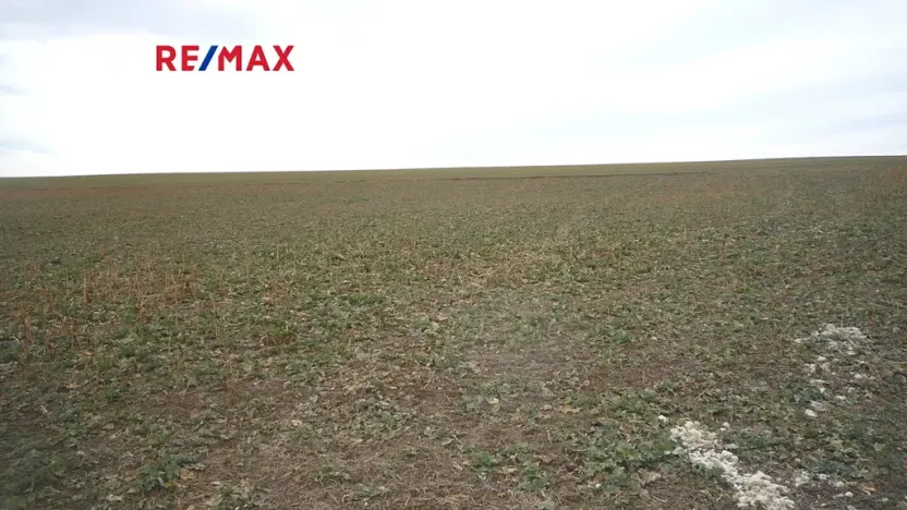 Prodej pozemku pro bydlení, Pavlíkov, 895 m2