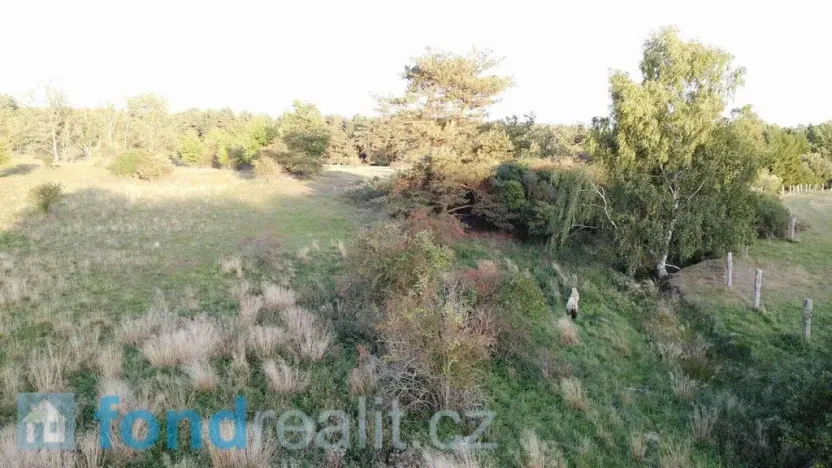 Prodej pole, Žďár, 7261 m2