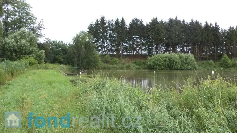 Prodej pozemku, Třebařov, 4992 m2