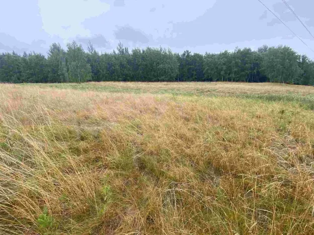 Prodej pole, Nové Sedlo - Loučky, 49321 m2