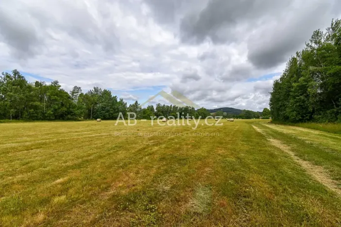 Prodej louky, Úštěk, 131865 m2