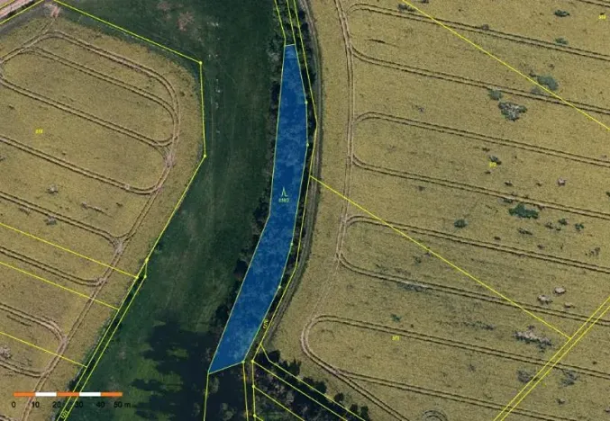 Prodej lesa, Dolní Vilémovice, 1995 m2