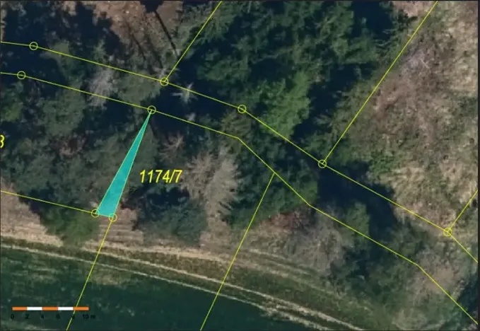 Prodej lesa, Dolní Cerekev, 11509 m2