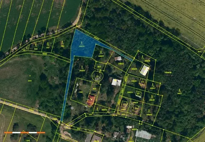 Prodej lesa, Budišov, 1061 m2