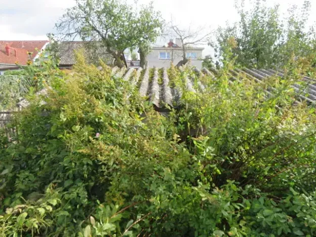 Dražba zahrady, Dobruška, 294 m2