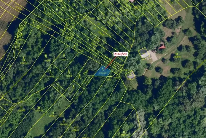 Dražba lesa, Ivančice, 90 m2