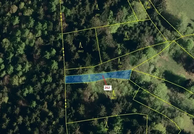 Dražba lesa, Zděchov, 273 m2