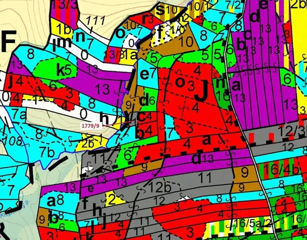 Dražba lesa, Žirovnice, 1388 m2