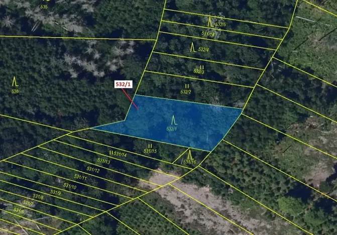 Dražba lesa, Havlíčkův Brod, 870 m2