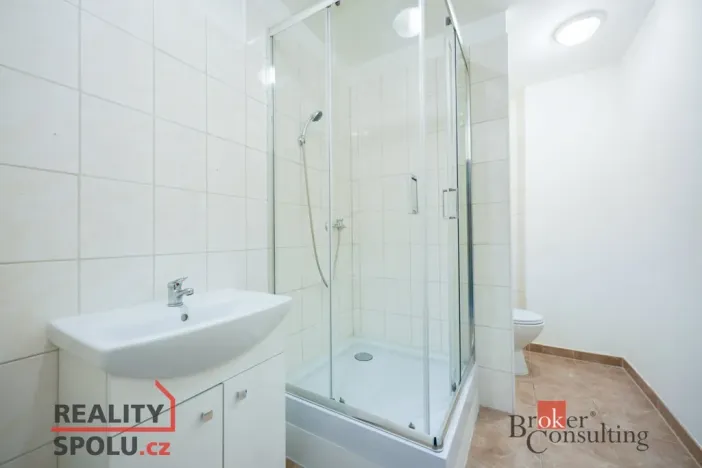 Pronájem bytu 2+kk, Mlékojedy, 51 m2