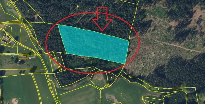 Prodej lesa, Havlovice, 13402 m2