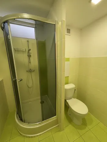 Pronájem bytu 1+kk, Pardubice, Nová, 36 m2