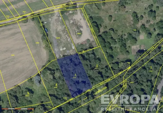 Prodej lesa, Praha, 2166 m2