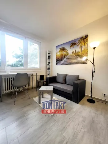 Pronájem bytu 1+kk, České Budějovice, Dobrovodská, 21 m2