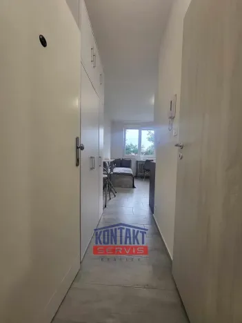 Pronájem bytu 1+kk, České Budějovice, Dobrovodská, 21 m2