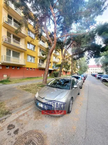 Pronájem bytu 1+kk, České Budějovice, Dobrovodská, 21 m2