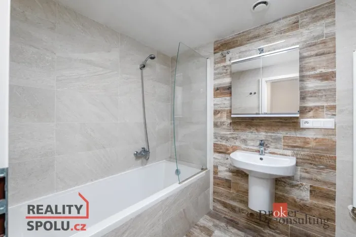 Pronájem bytu 2+kk, Plzeň - Východní Předměstí, Papírnická, 57 m2