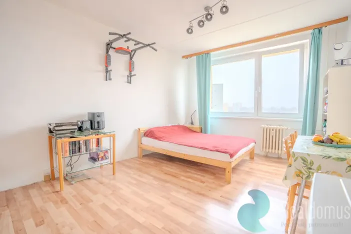 Prodej bytu 1+kk, Praha, Daškova, 29 m2