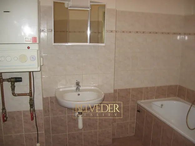 Pronájem bytu 1+1, Teplice, U Hadích lázní, 44 m2