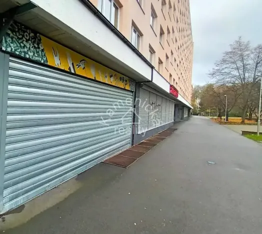 Prodej obchodního prostoru, České Budějovice, Pražská tř., 137 m2