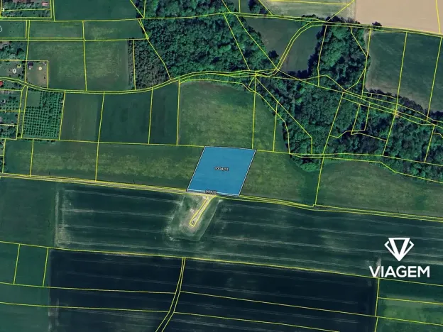 Prodej pole, Závišice, 5274 m2