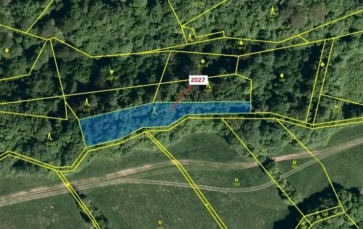 Dražba lesa, Hovězí, 1252 m2