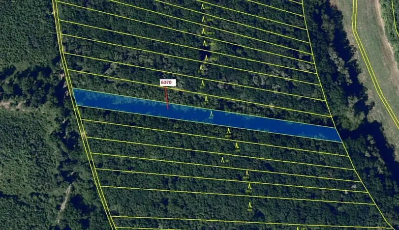 Dražba lesa, Archlebov, 2892 m2