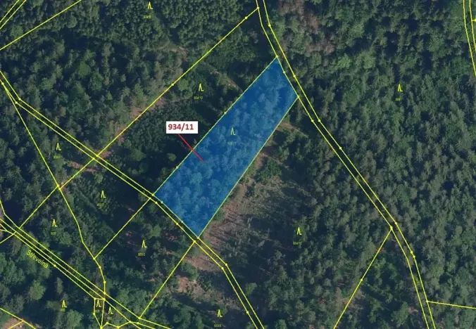 Dražba lesa, Jílové u Držkova, 3439 m2