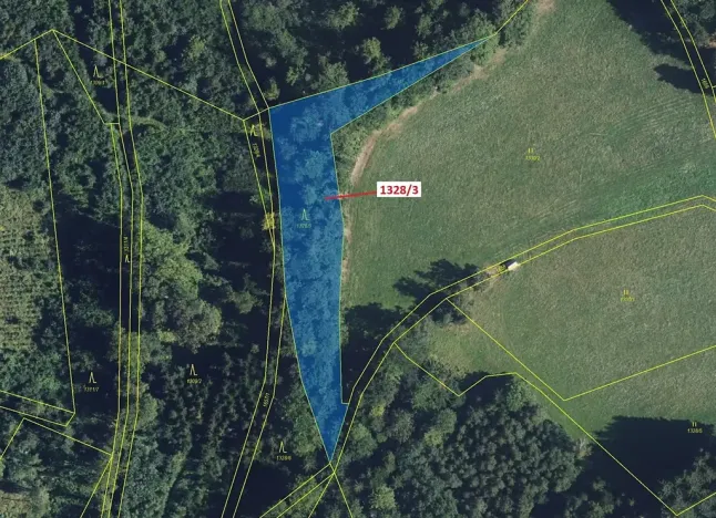 Dražba lesa, Kladky, 3057 m2