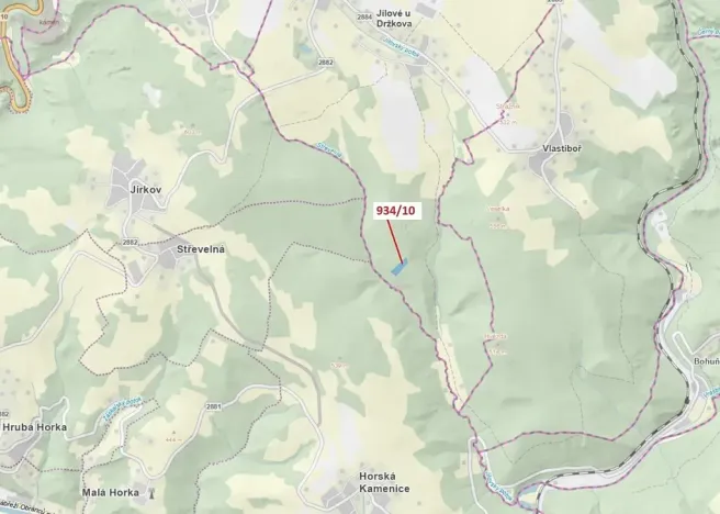 Dražba lesa, Jílové u Držkova, 4305 m2