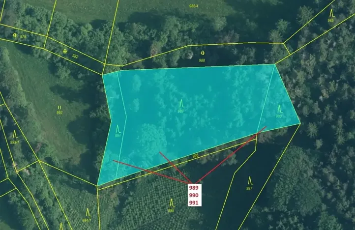 Dražba lesa, Rabí, 4276 m2