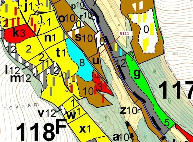 Dražba lesa, Benešov u Semil, 2958 m2