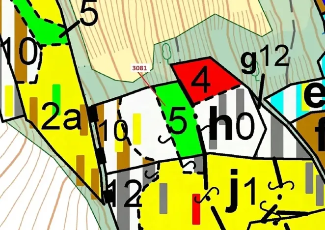 Dražba lesa, Benešov u Semil, 6213 m2