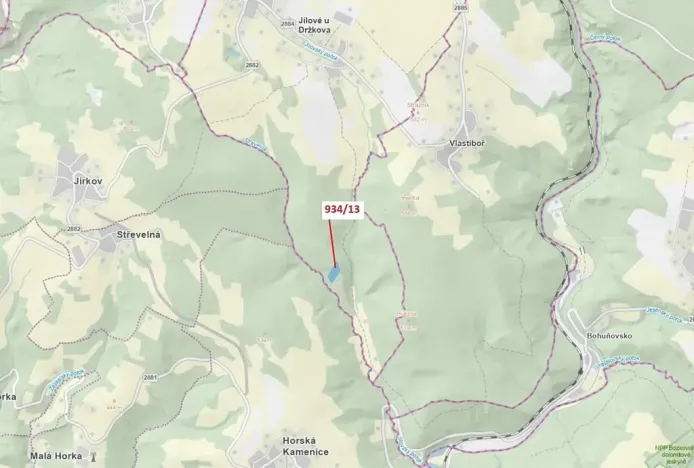 Dražba lesa, Jílové u Držkova, 6213 m2