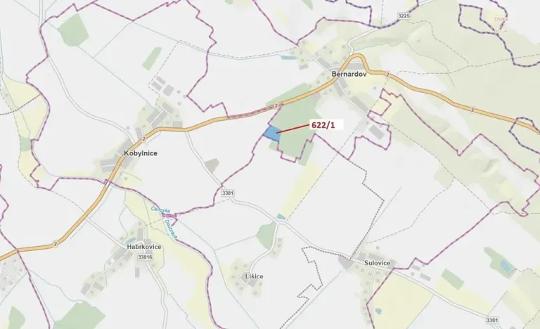 Dražba lesa, Bernardov, 12017 m2