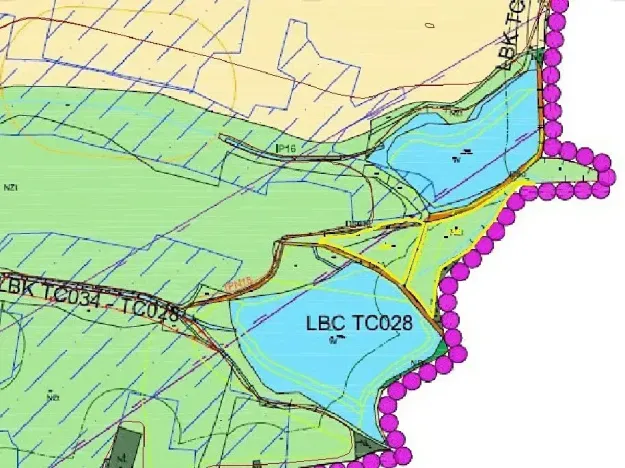 Dražba louky, Chodský Újezd, 13137 m2